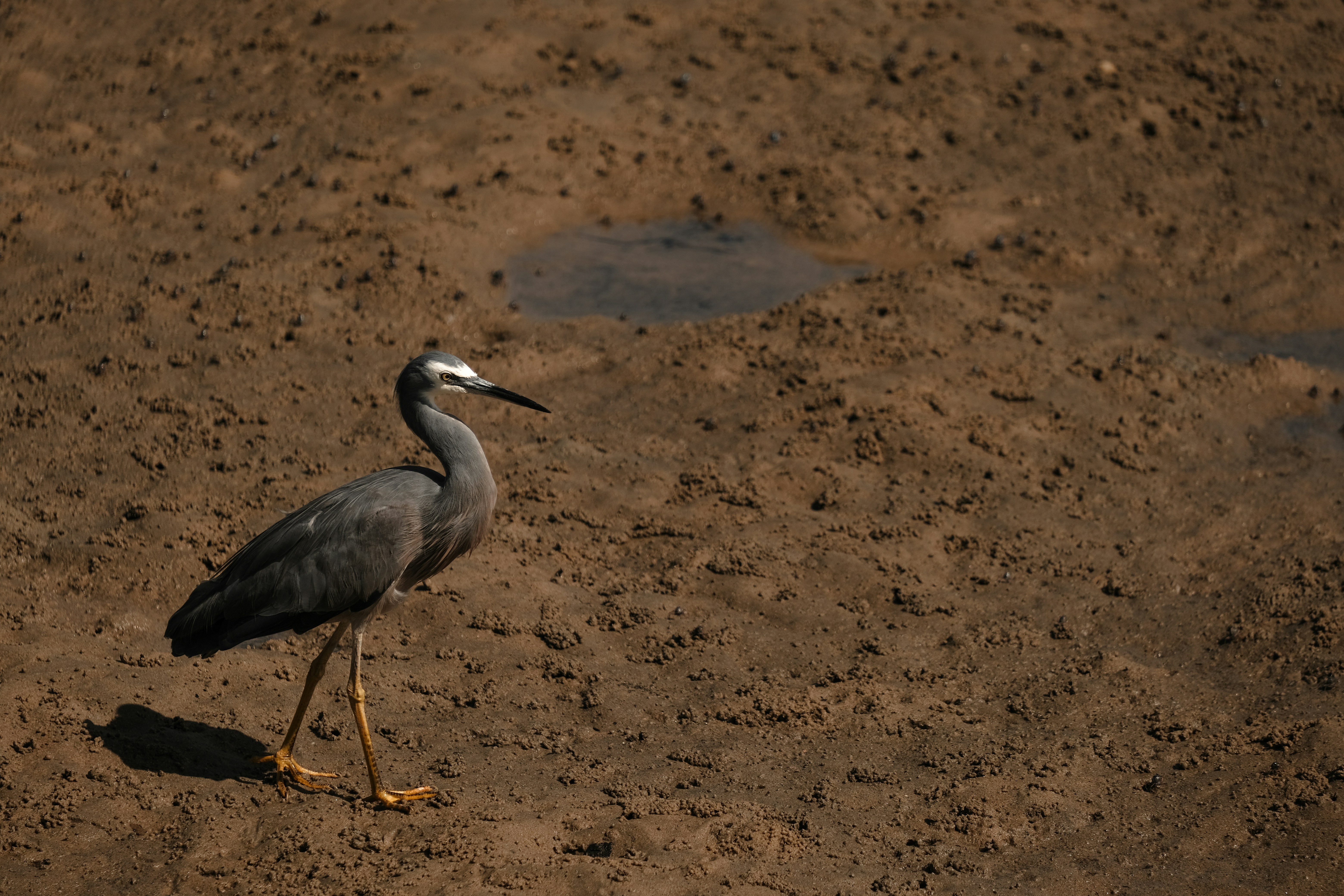 Photo by valeriiamiller