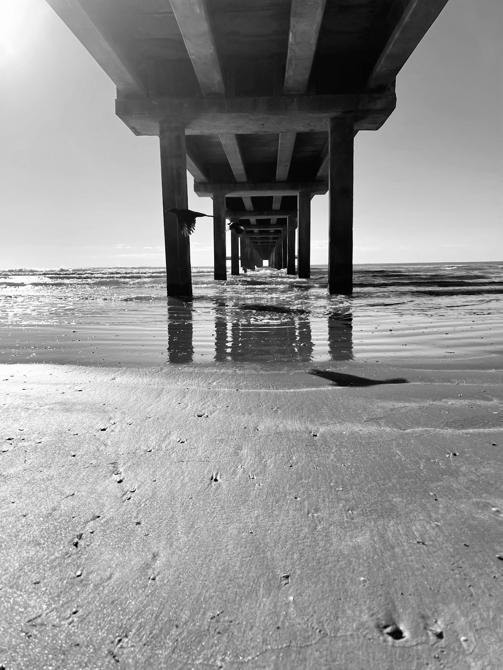 a black and white photo of a beach under a bridge