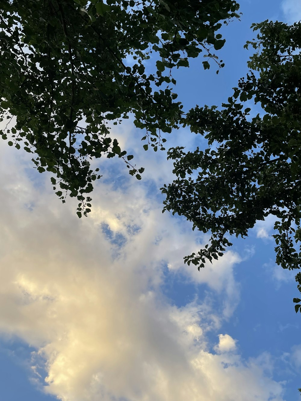 the sky is filled with clouds and trees