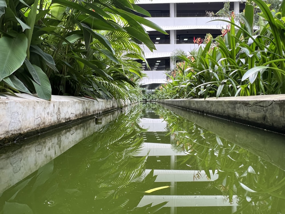 a narrow canal with a building in the background