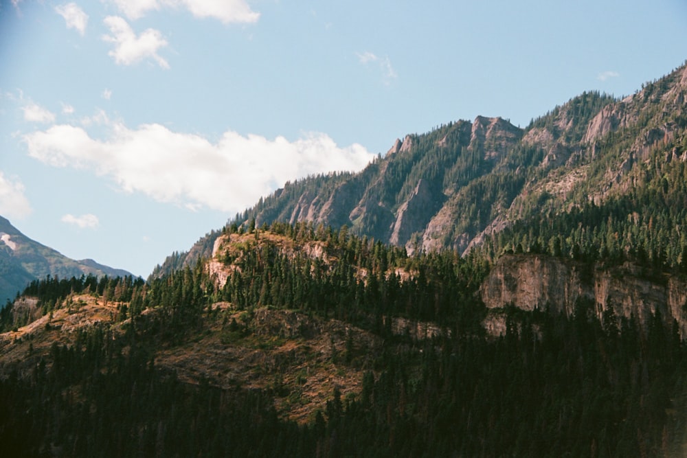una vista de una montaña con árboles en el lado de ella