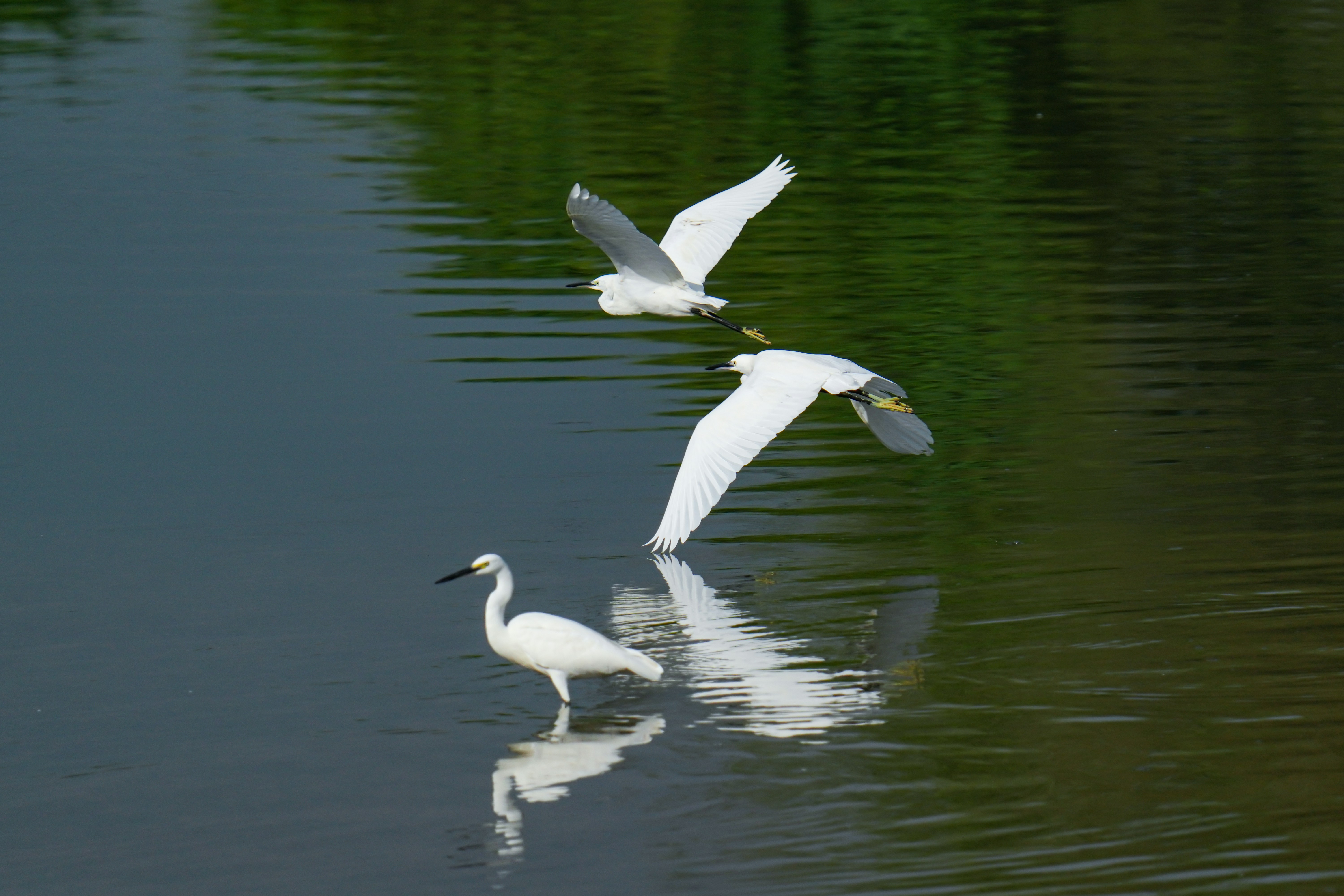 Photo by kim_dae_jeung