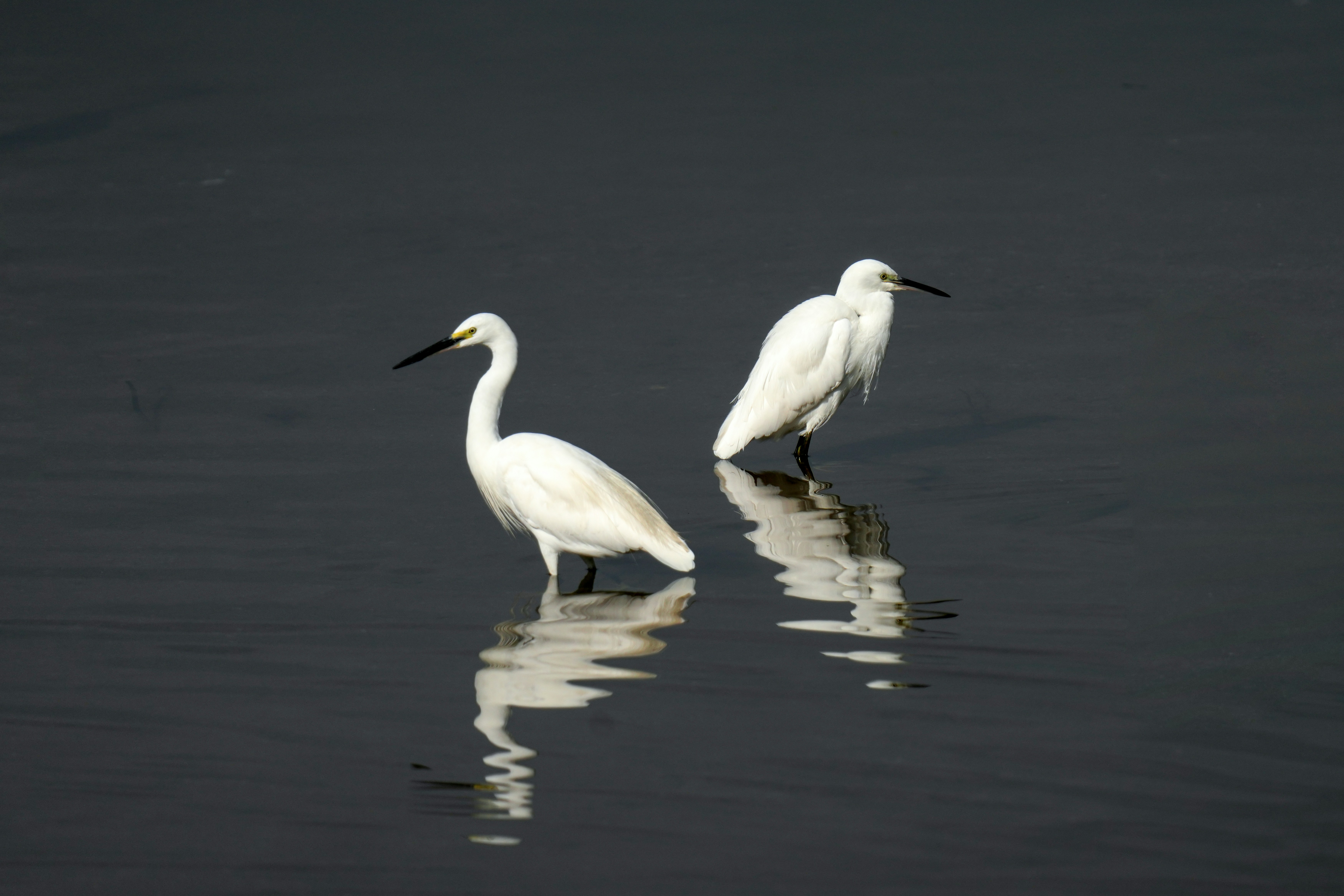 Photo by kim_dae_jeung