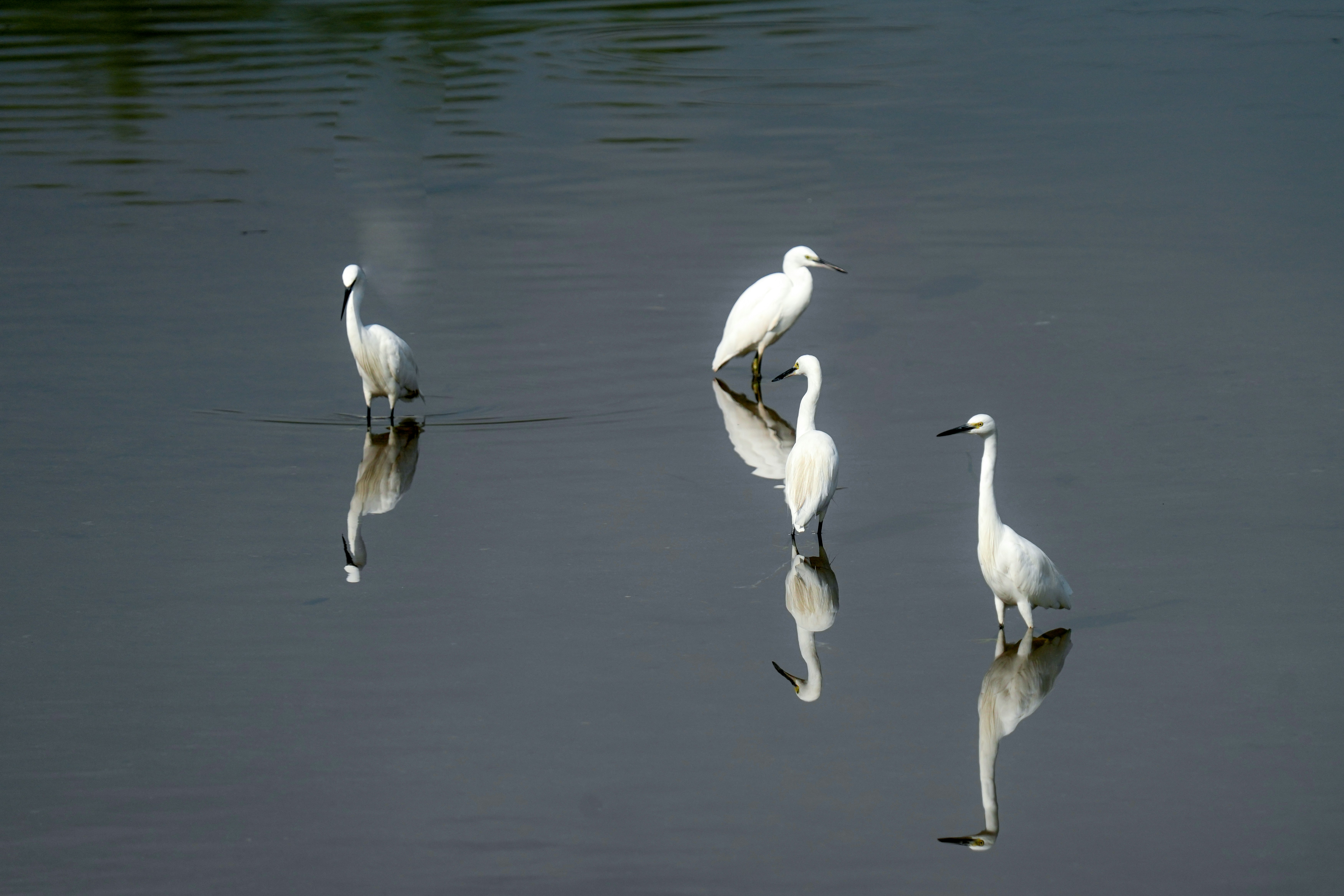 Photo by kim_dae_jeung