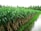 A lush green field of sugarcane plants is lined up neatly beside a narrow water canal. The sugarcane leaves are vibrant and dense, and the field is surrounded by tall palm trees, indicating a tropical environment.