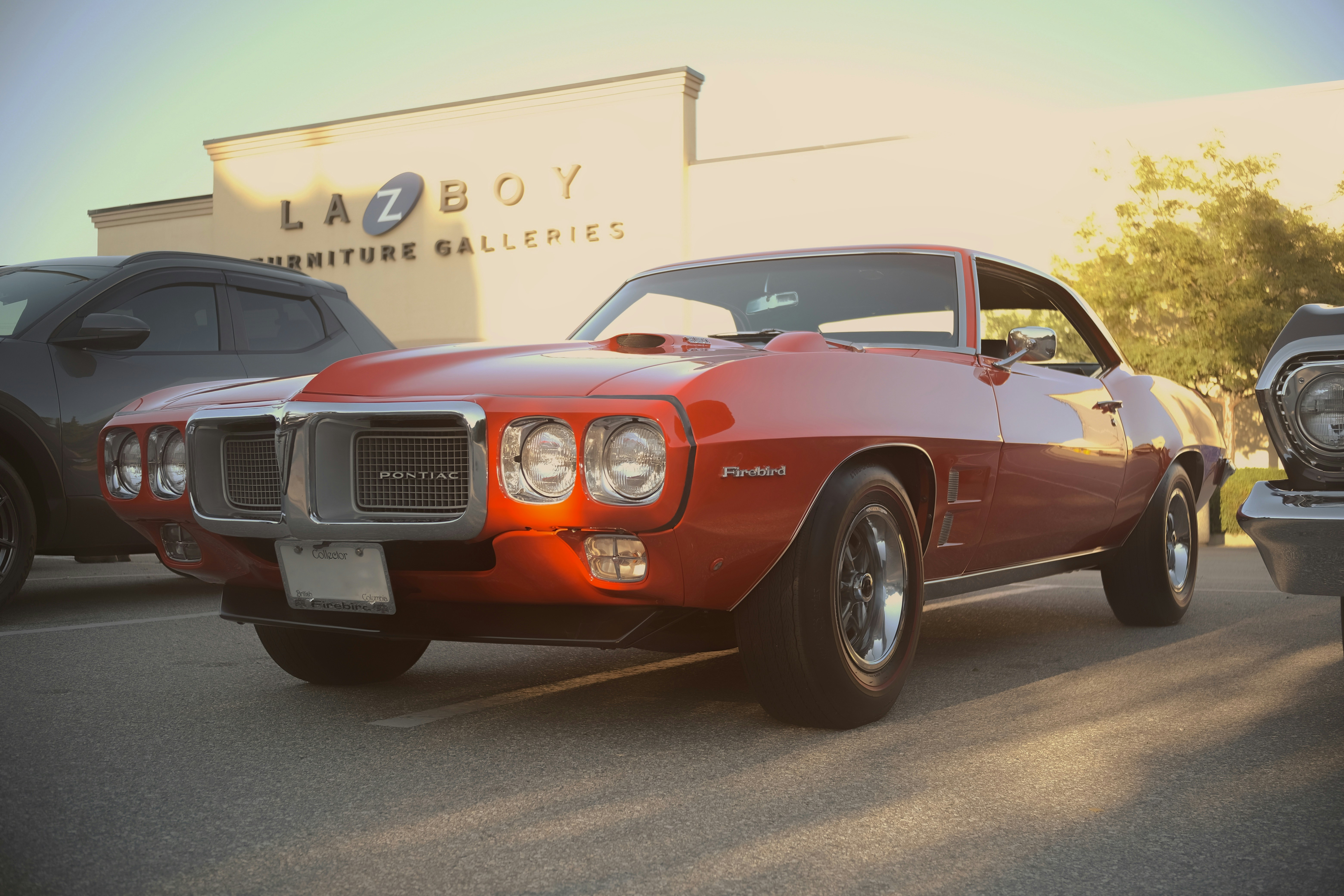 Photo by arvindale021