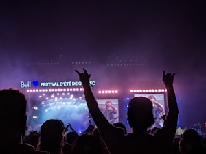 Festival Tickets and Merchandise