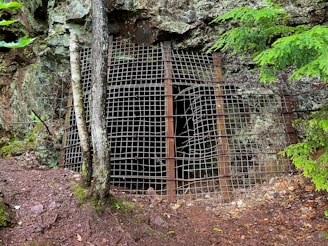 A secured entrance to a cave or mine is covered with a metal grid fence. The area is surrounded by rocks and vegetation, including a tree growing in front of the fence. The ground is earthy and covered in leaves and pine needles, suggesting a forested environment.