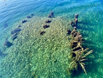 Clear water reveals an underwater view of smooth stones, with several weathered wooden posts or remnants of a structure protruding above the stones and casting shadows. The hues of the water shift from green to blue, creating a serene and natural scene.