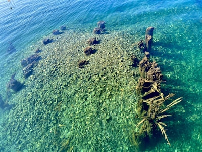 Clear water reveals an underwater view of smooth stones, with several weathered wooden posts or remnants of a structure protruding above the stones and casting shadows. The hues of the water shift from green to blue, creating a serene and natural scene.