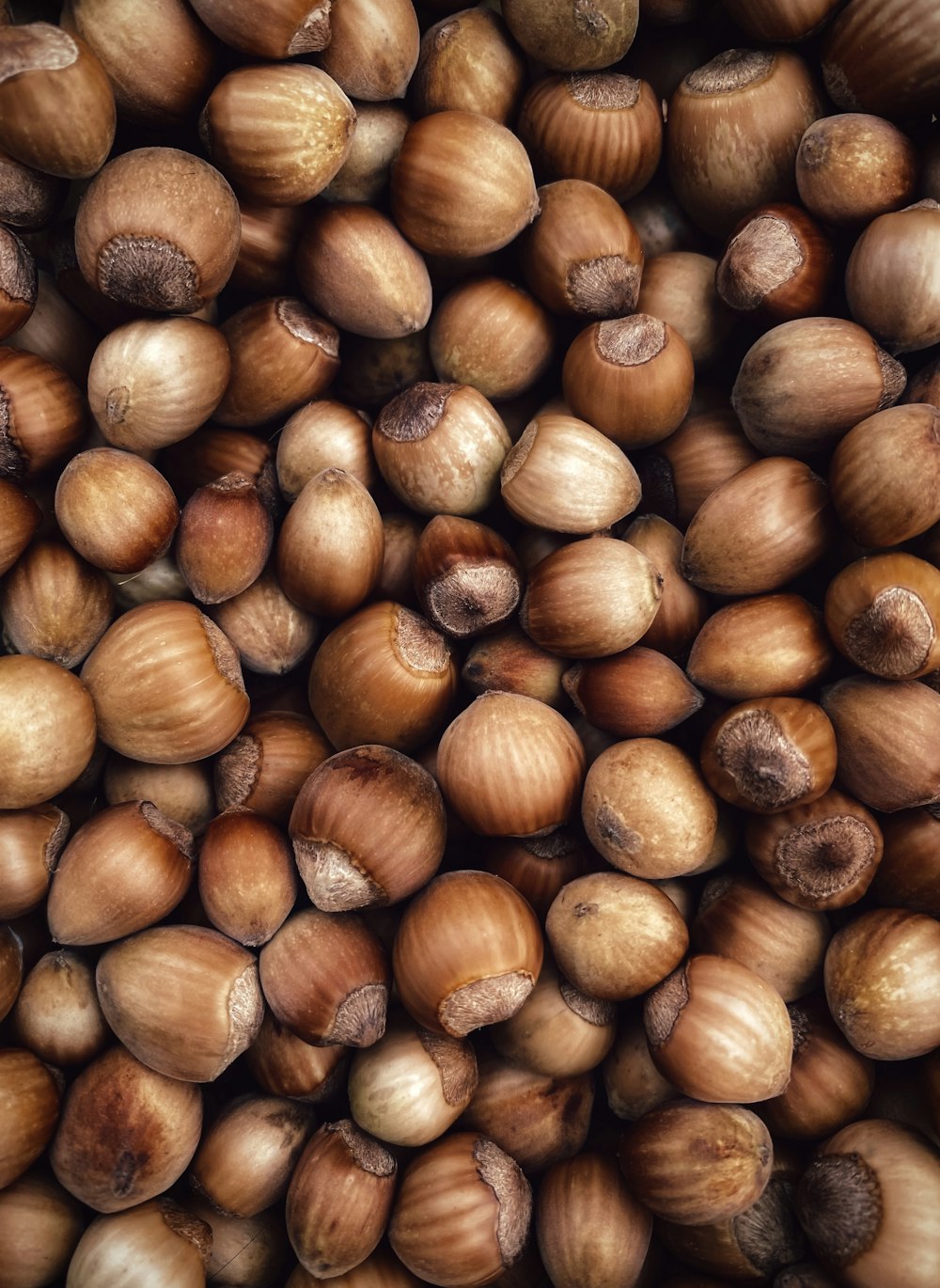 a pile of nuts that are brown in color