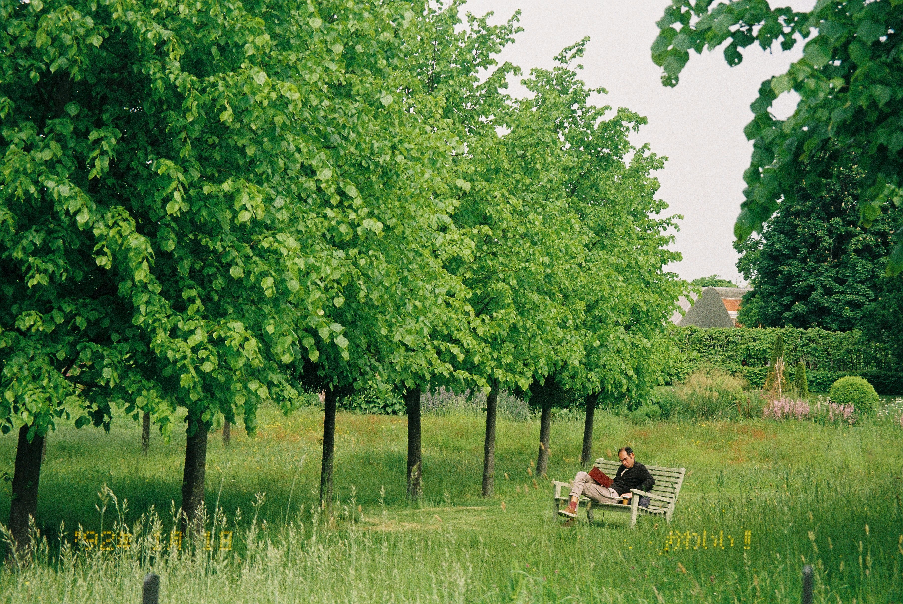 a person sitting on a bench in a field