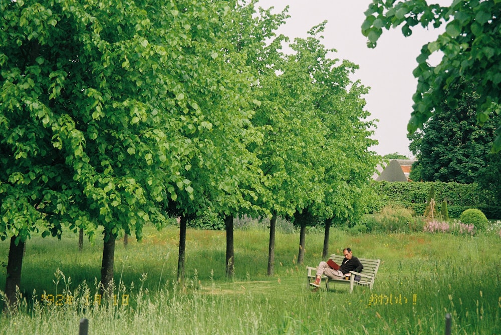 a person sitting on a bench in a field