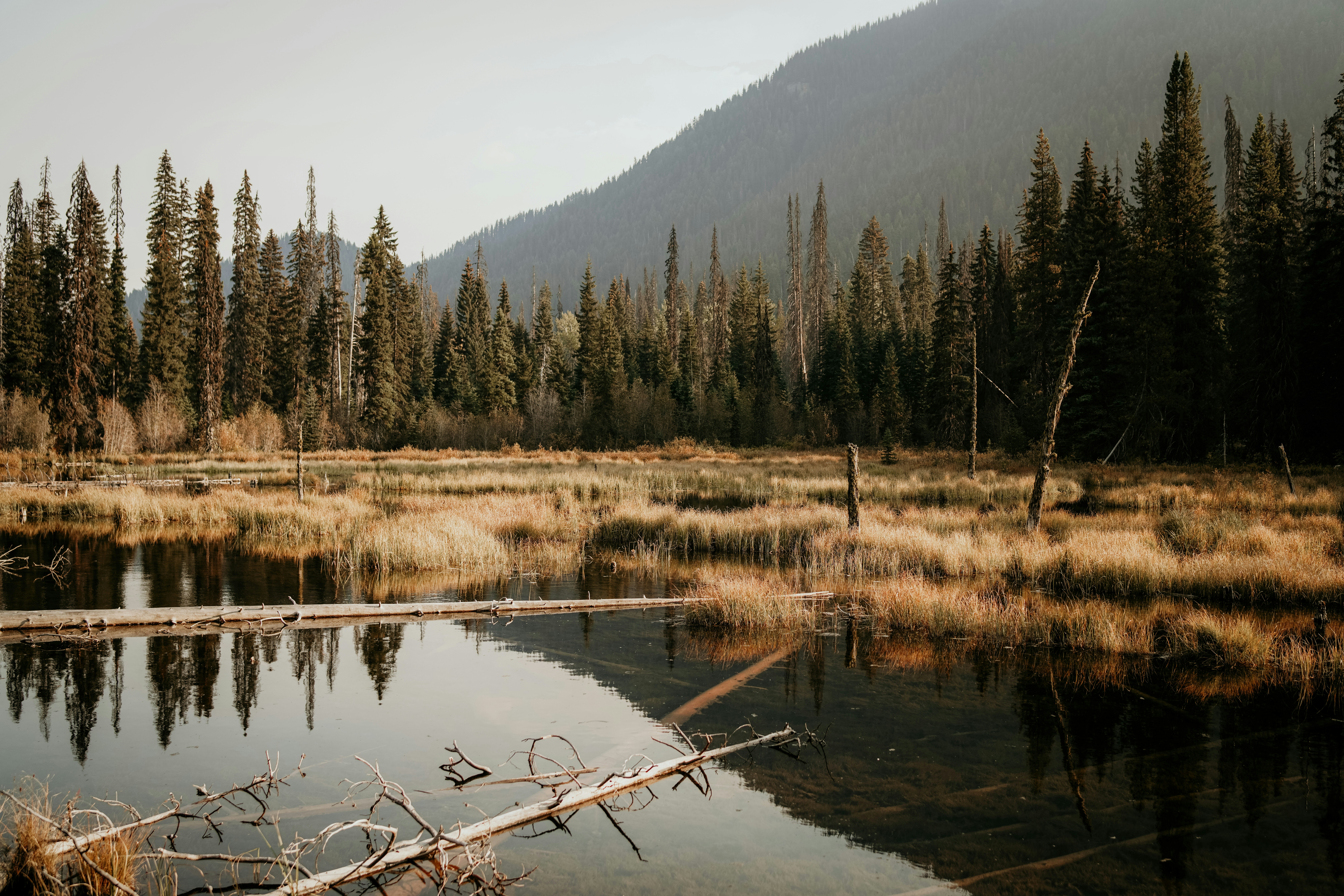 Photo by dubai_love_story