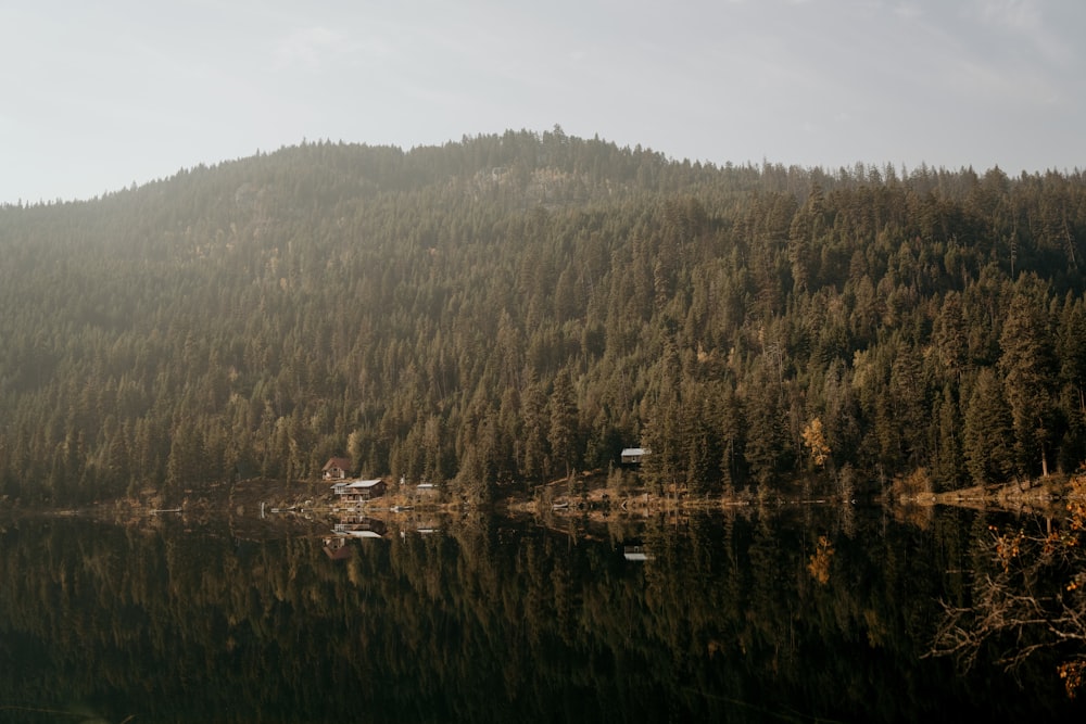 a lake surrounded by a forest with a mountain in the background