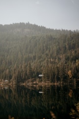 A serene landscape featuring a dense forest of evergreen trees reflected in a still body of water. A small cabin is nestled amongst the trees, adding a rustic touch to the natural setting. The overall ambiance is calm and peaceful.