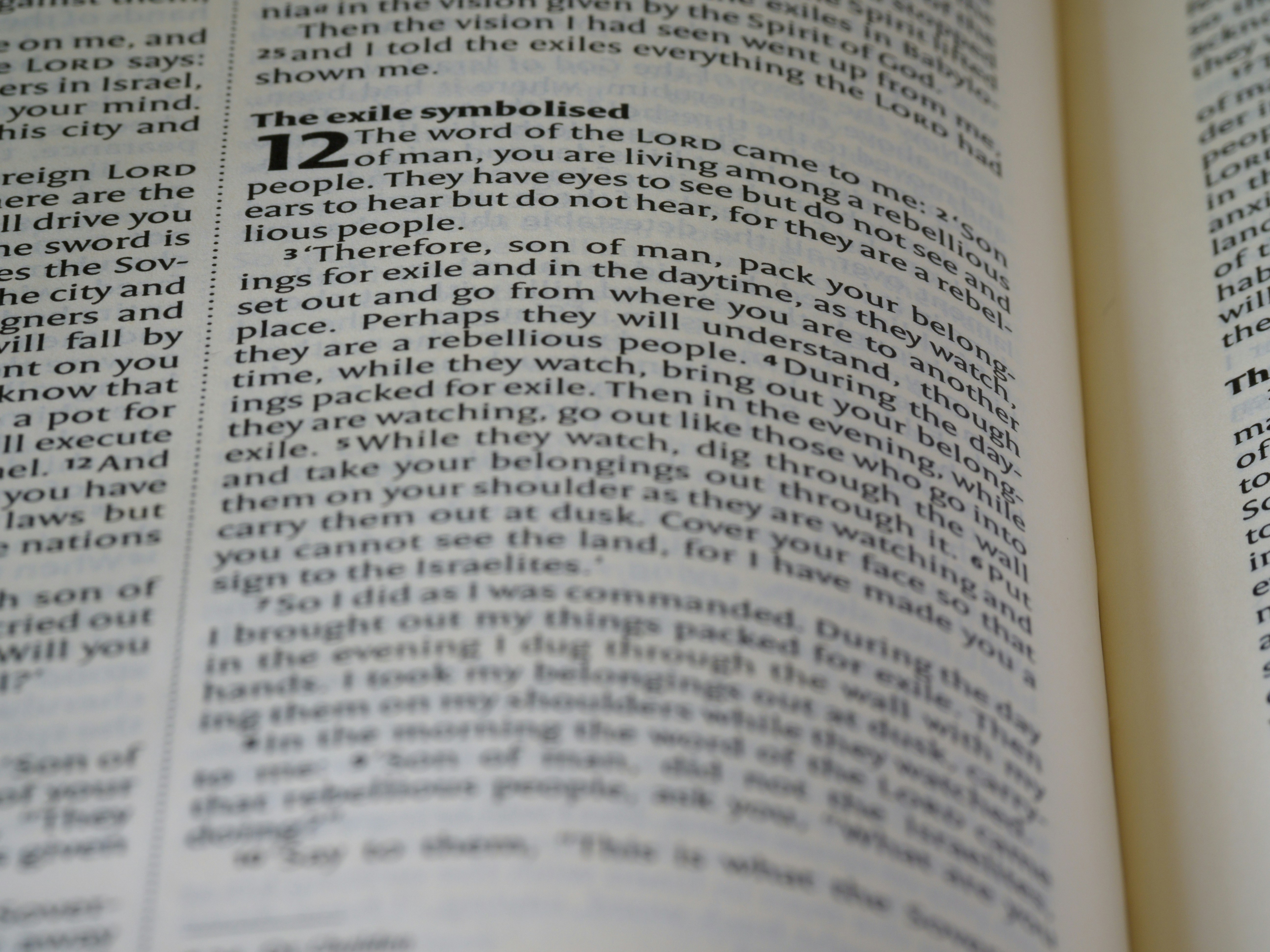 Hypersensibilité et Déracinement : 4 voies de réconciliation