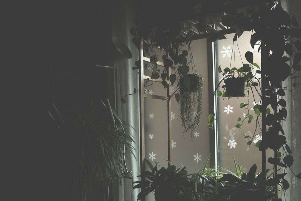 a room with a window and a plant on the window sill