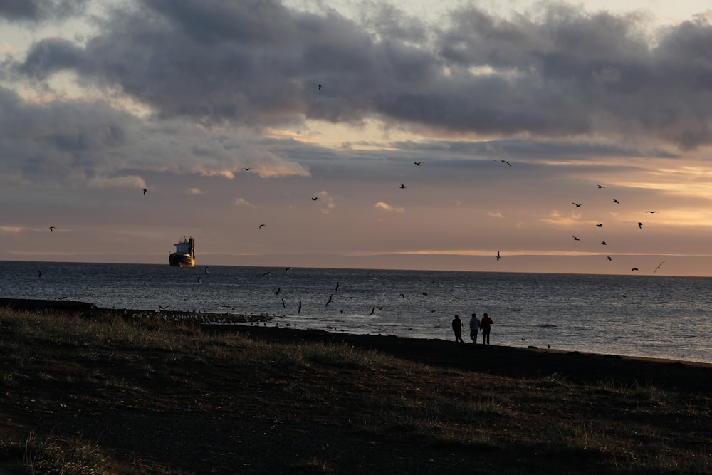 a group of people standing on top of a beach near the ocean