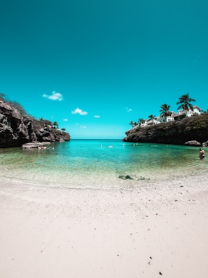 a person standing on a beach next to a body of water