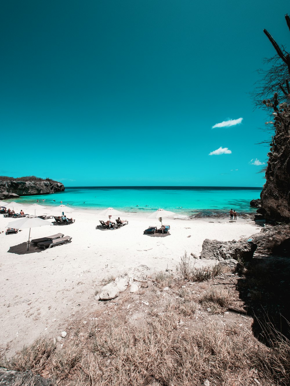 un groupe de bateaux assis au sommet d’une plage de sable