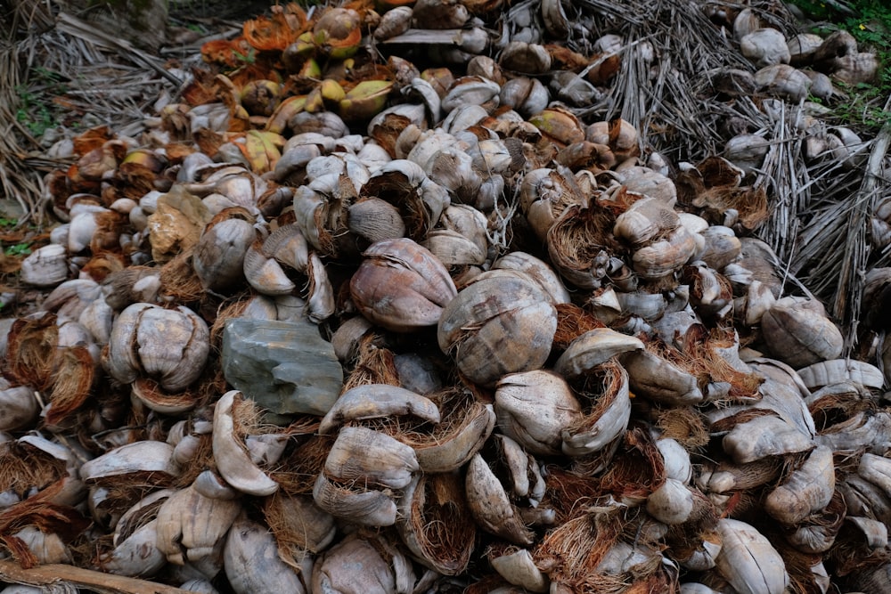 a pile of clumps of nuts sitting on the ground