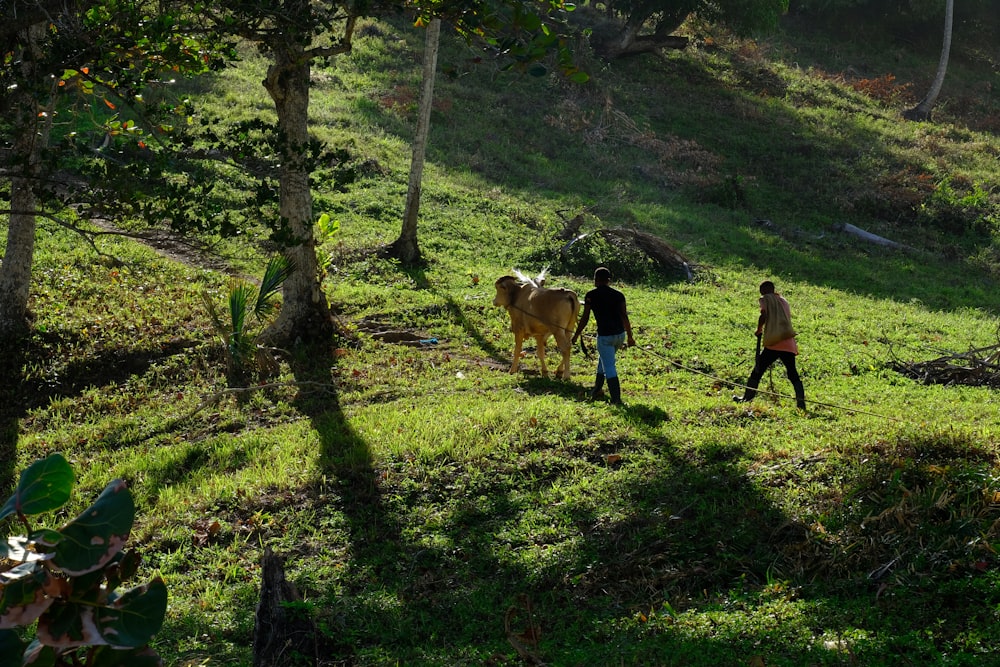 a couple of people walking across a lush green field