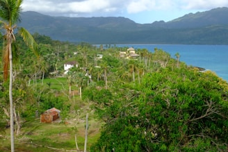A lush tropical landscape featuring dense greenery and a variety of palm trees. In the center, several houses blend into the vegetation, with the most prominent being a white building with a dark roof. In the foreground, there is a small, rustic structure with a patch of open ground surrounding it. The scene extends towards a calm, blue expanse of water, possibly a sea or large lake, bordered by a range of misty mountains under a partly cloudy sky.