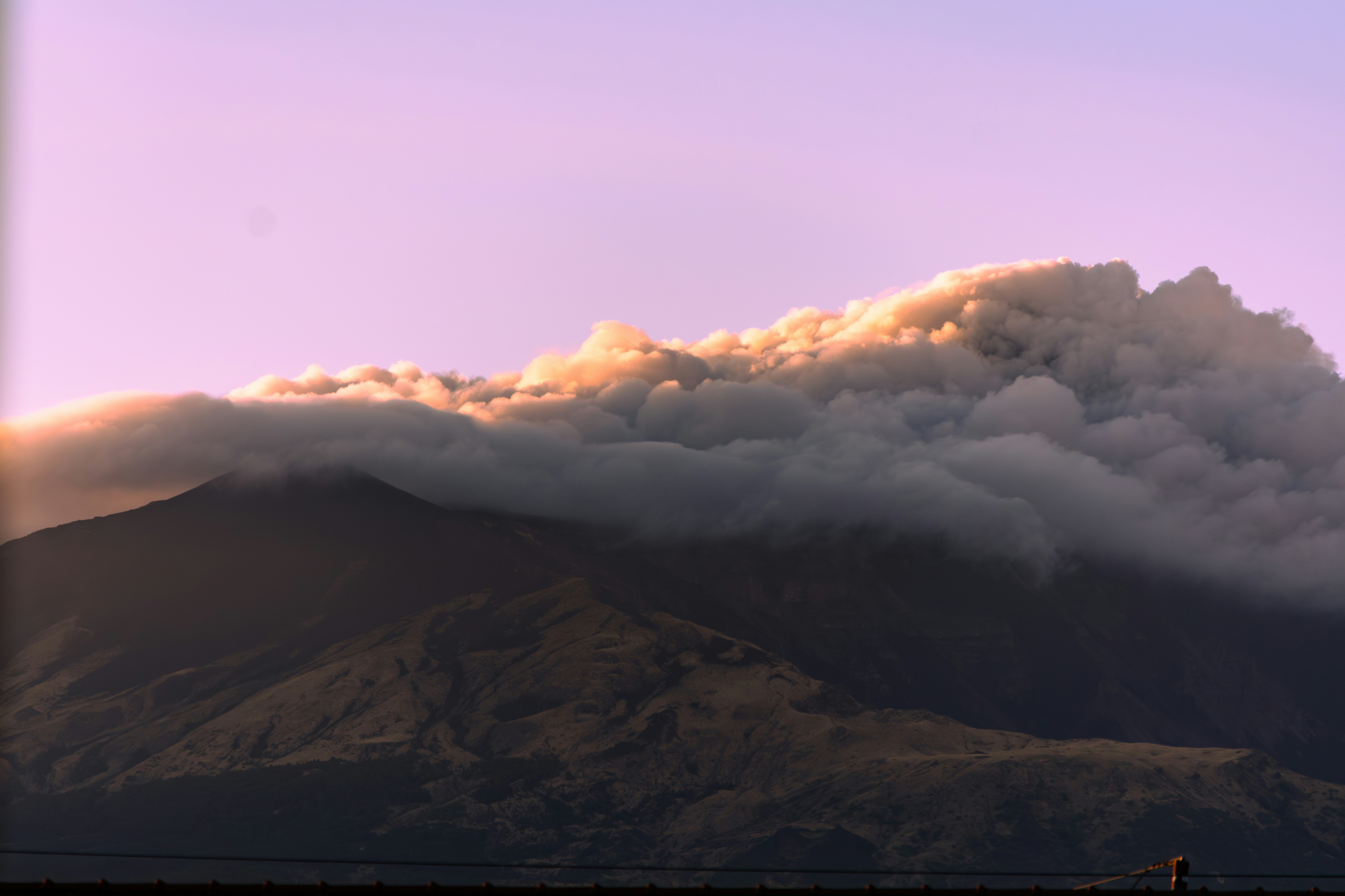 Photo by stefanotanny