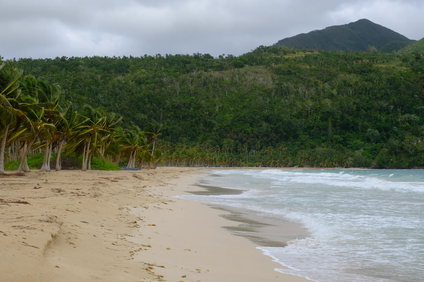 Playa Rincón, Samaná: palm-lined white sand below green hills