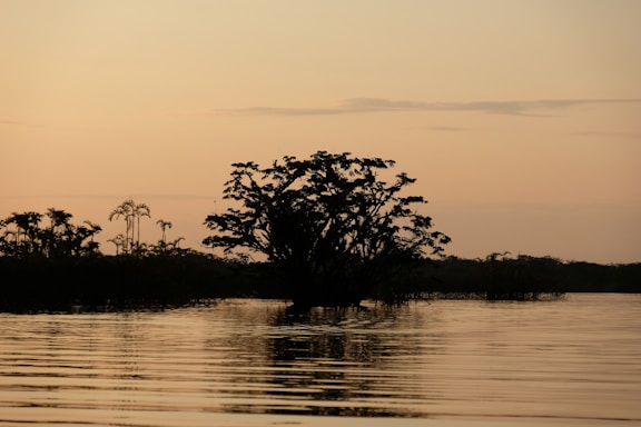 A serene landscape with calm water reflecting the sky, silhouetted trees and lush vegetation in the background against a sunset. The atmosphere is tranquil and peaceful.