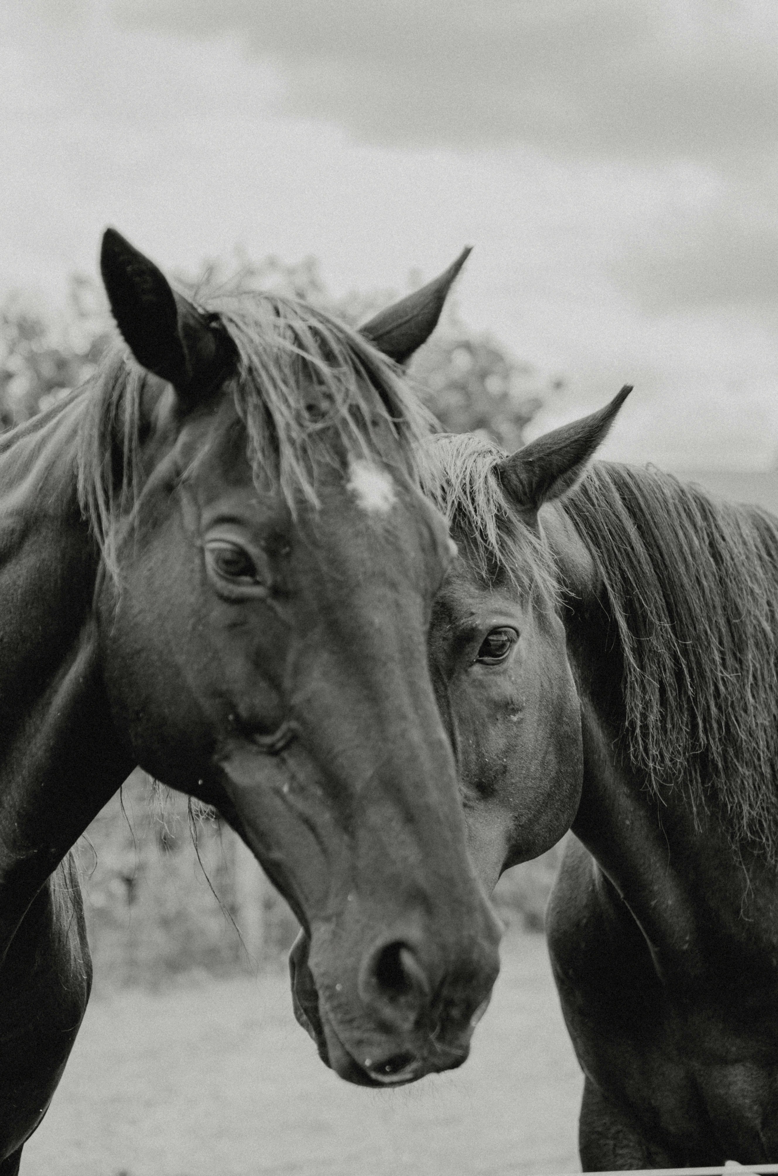 Photo by vaivagallery2022