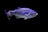 Articulated silver fish displayed on a velvet cushion with soft natural light highlighting its shine.