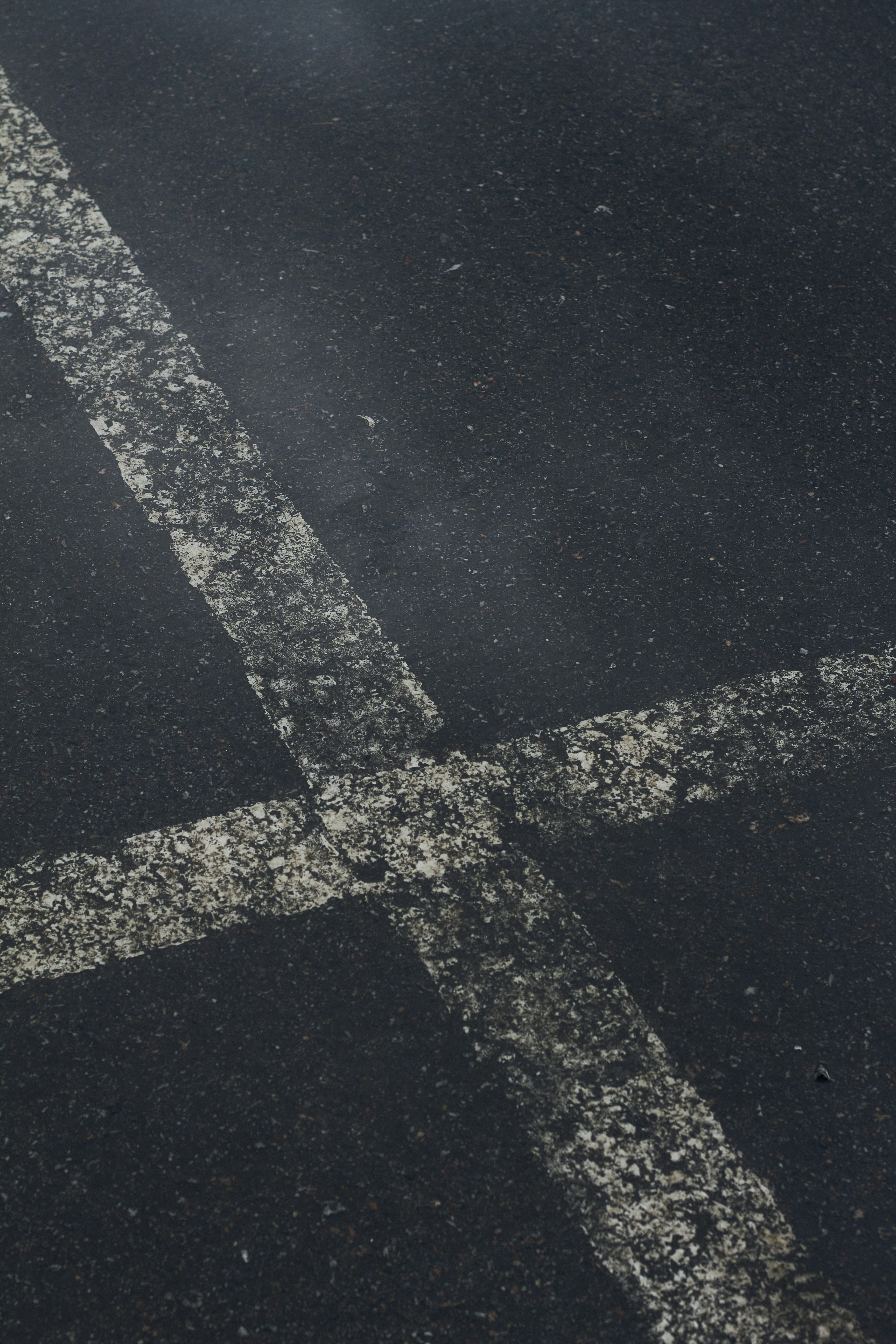 Photo by bartnewtone