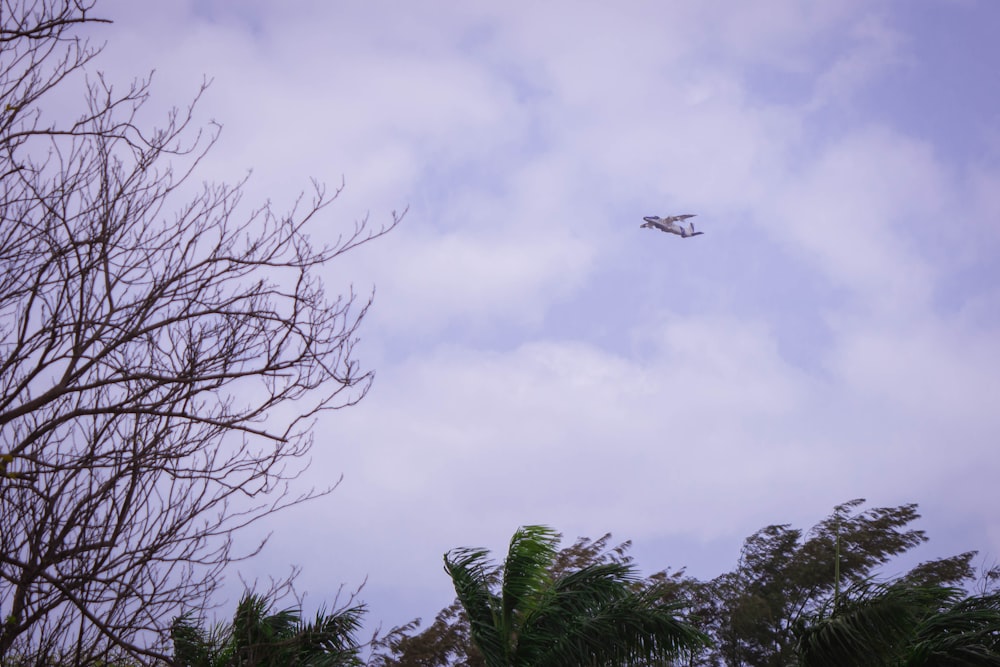 an airplane is flying over some trees and bushes