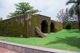 An aged stone building surrounded by lush greenery, symbolizing heritage preservation.
