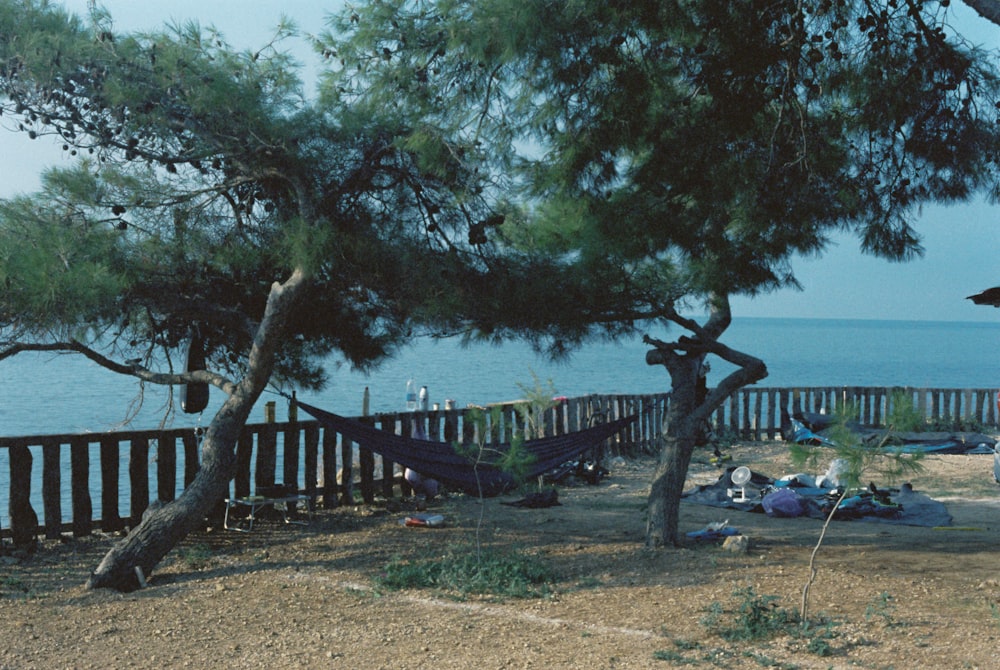 a hammock hanging from a tree next to a body of water