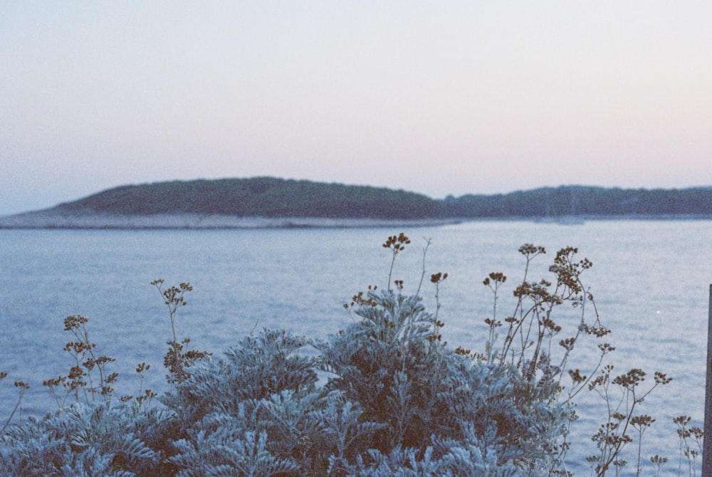 a view of a body of water with a hill in the background