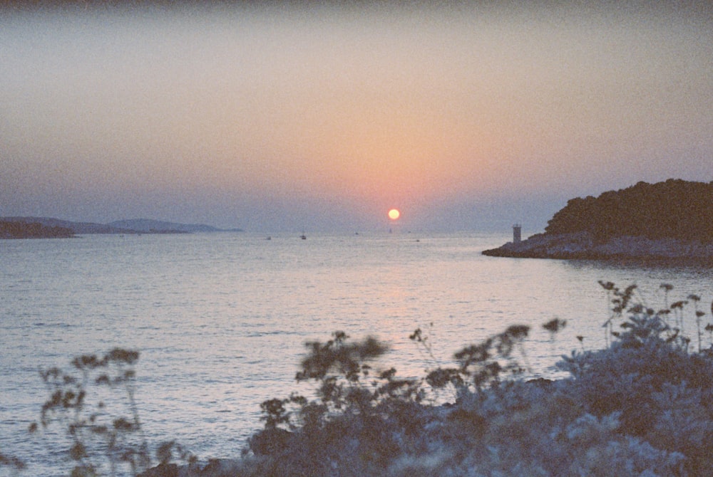 a sunset over a body of water with trees in the foreground