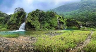 a waterfall in the middle of a lush green forest