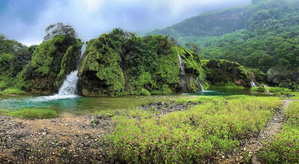 a waterfall in the middle of a lush green forest