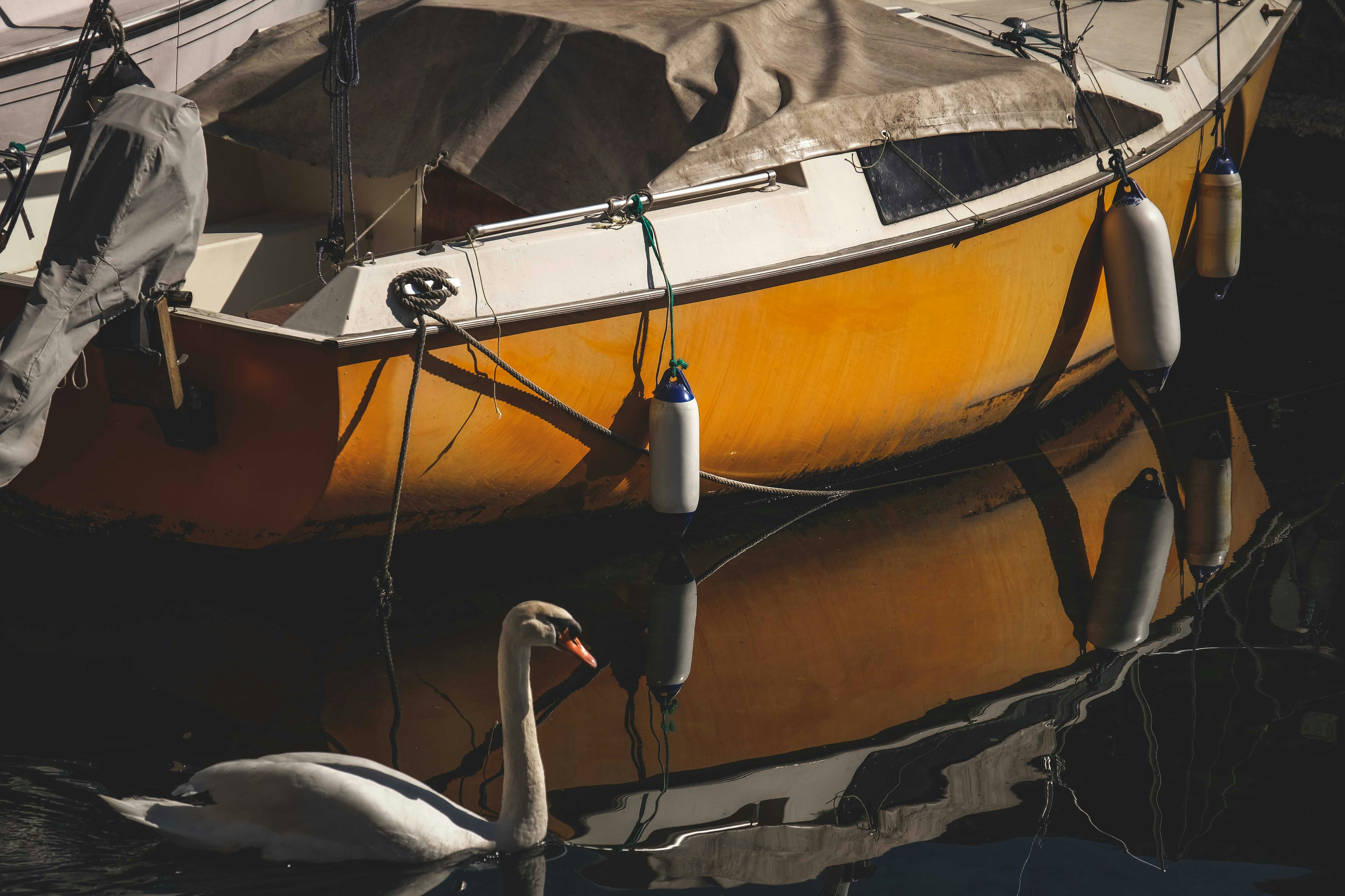 Photo by francesco_ungaro