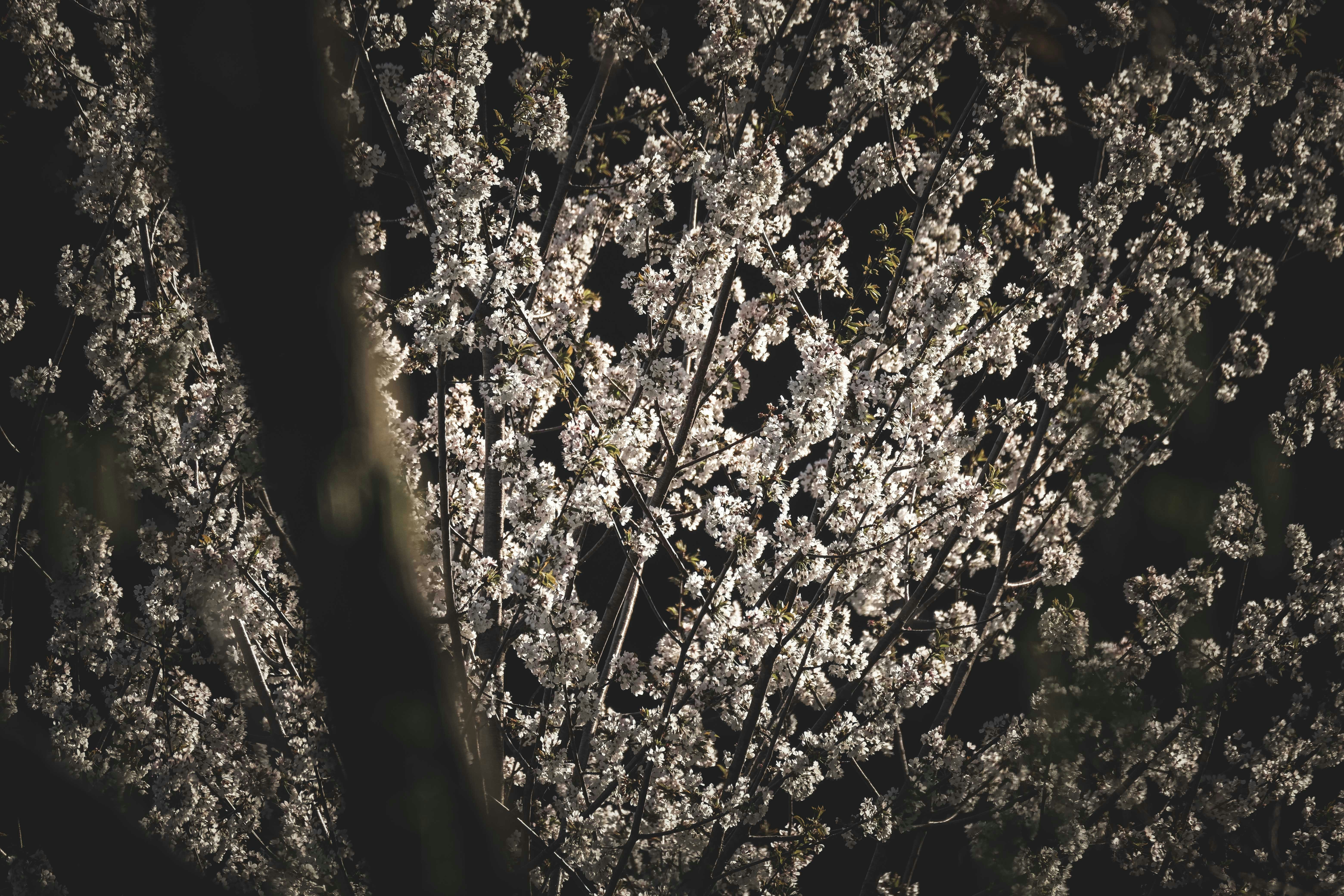 Photo by francesco_ungaro