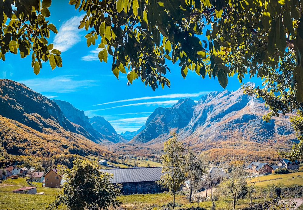 a scenic view of a valley with mountains in the background