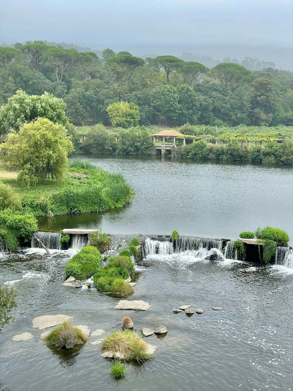 a large body of water surrounded by lush green trees