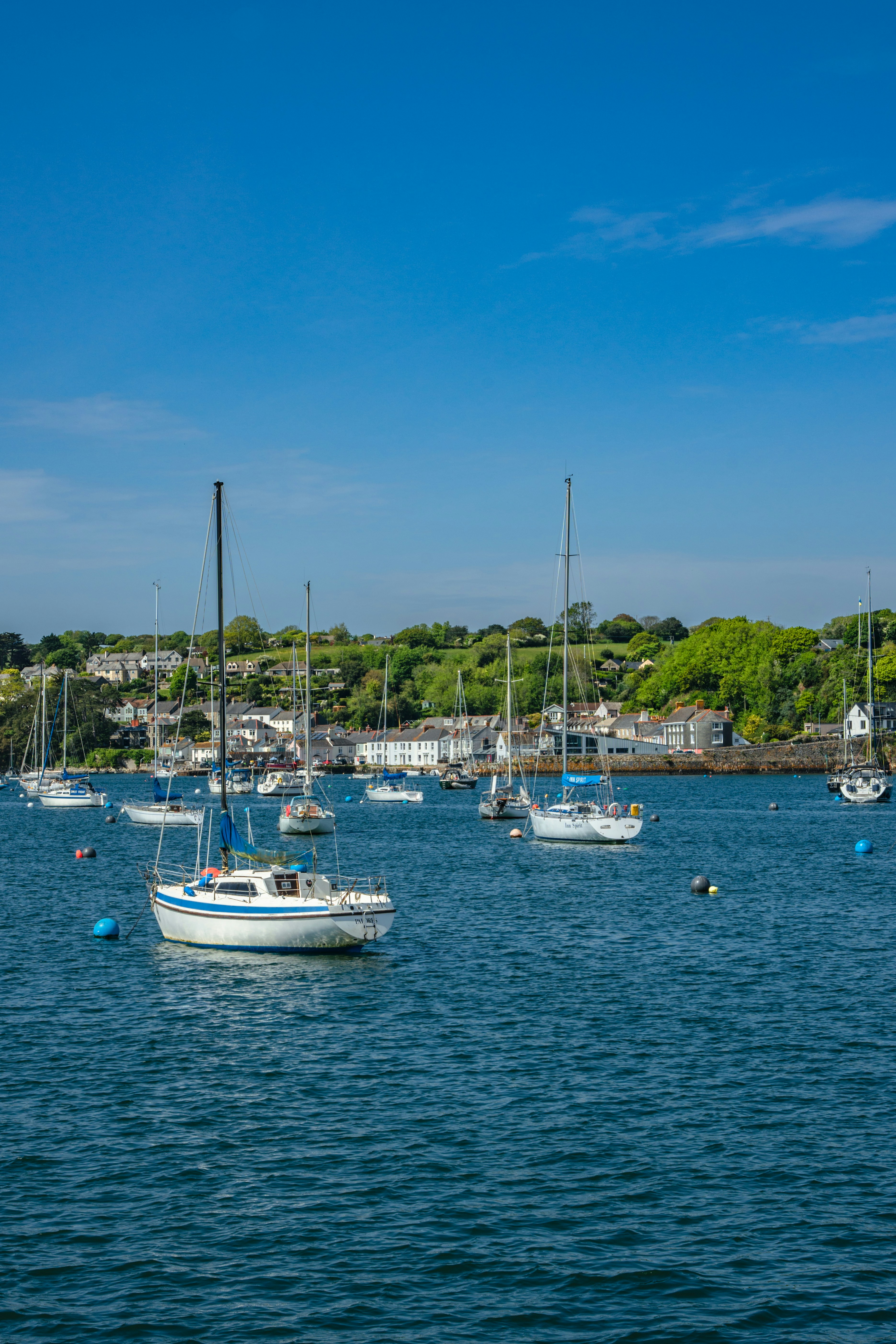 Photo by winstontjia