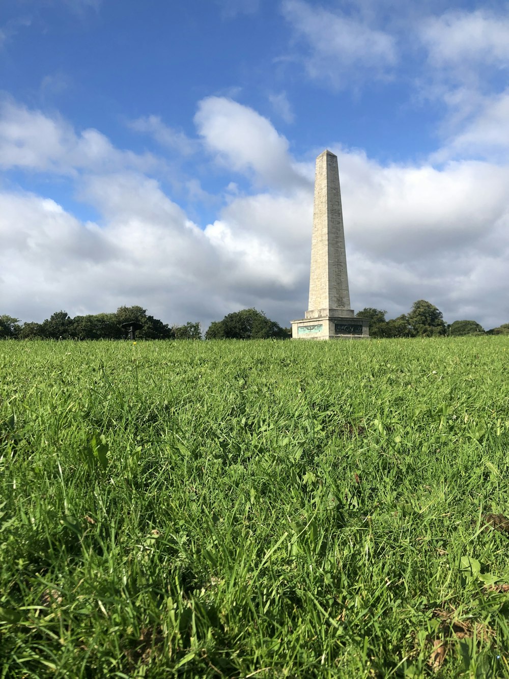 a tall obelisk sitting in the middle of a lush green field