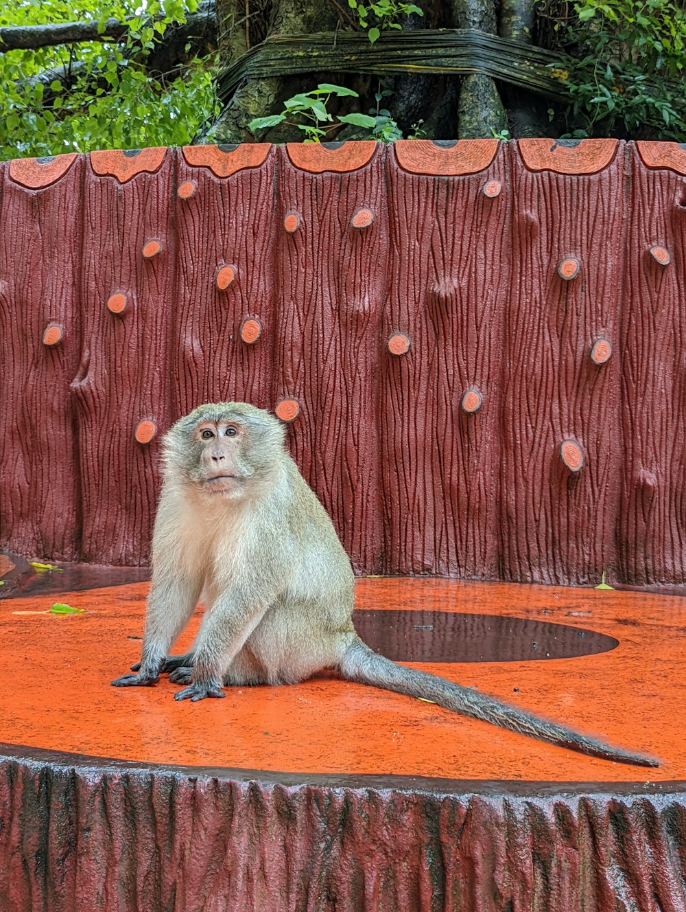a monkey sitting on top of an orange platform