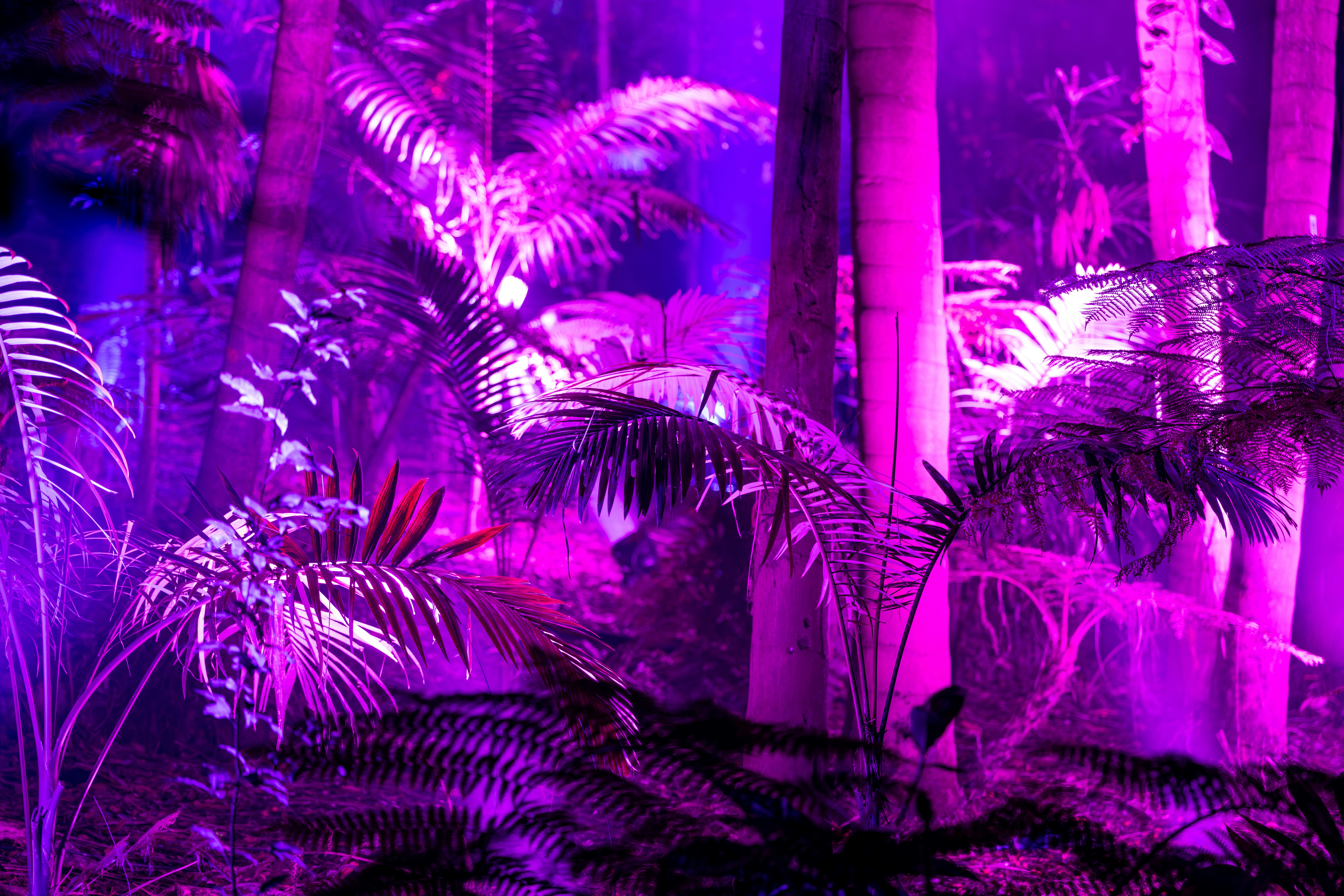 Photo by stephenmabbs