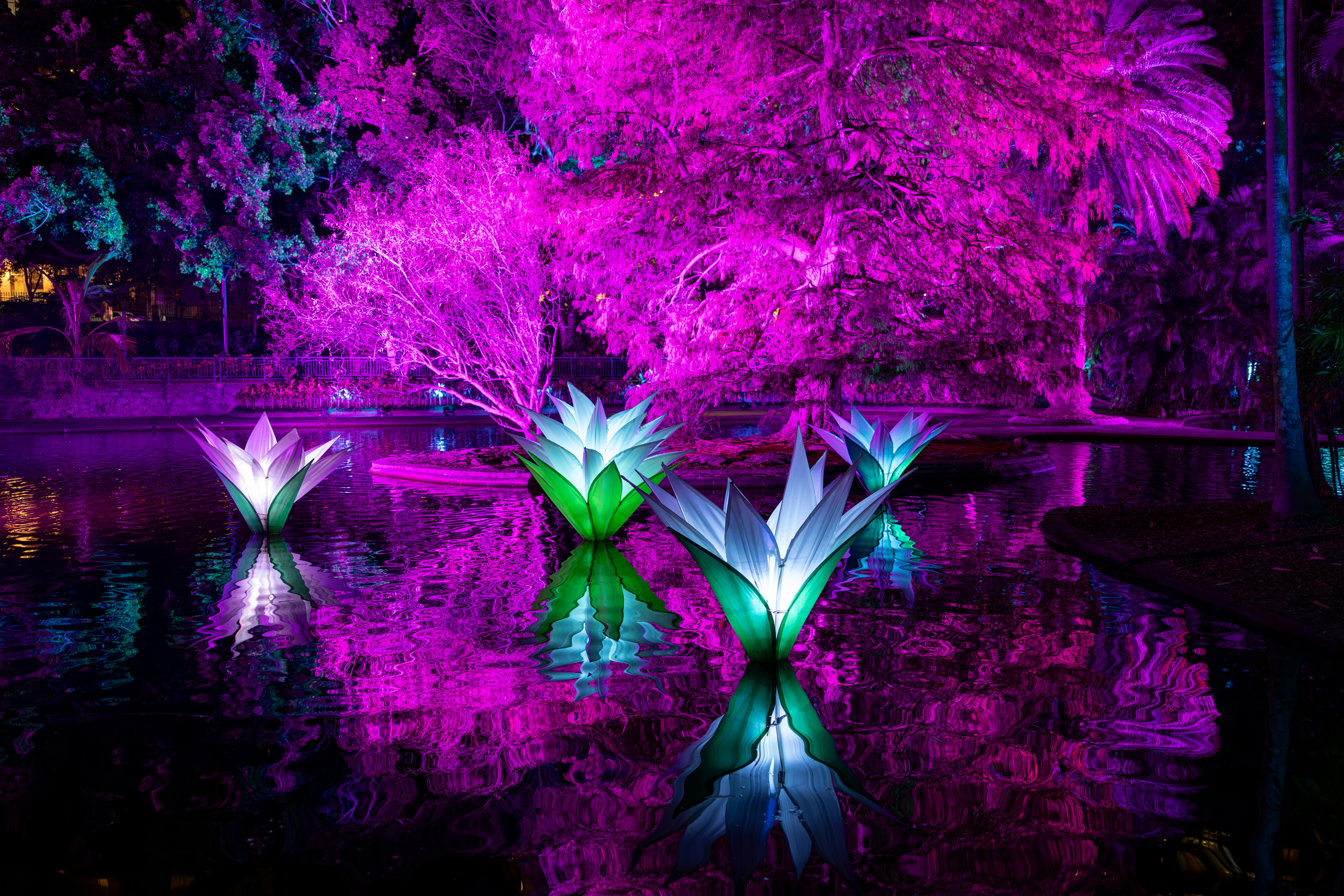 Lightscape at Brisbane City Botanic Gardens